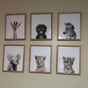 Set of 6 8X10 baby jungle animal Wall Art Prints for nursery kids room